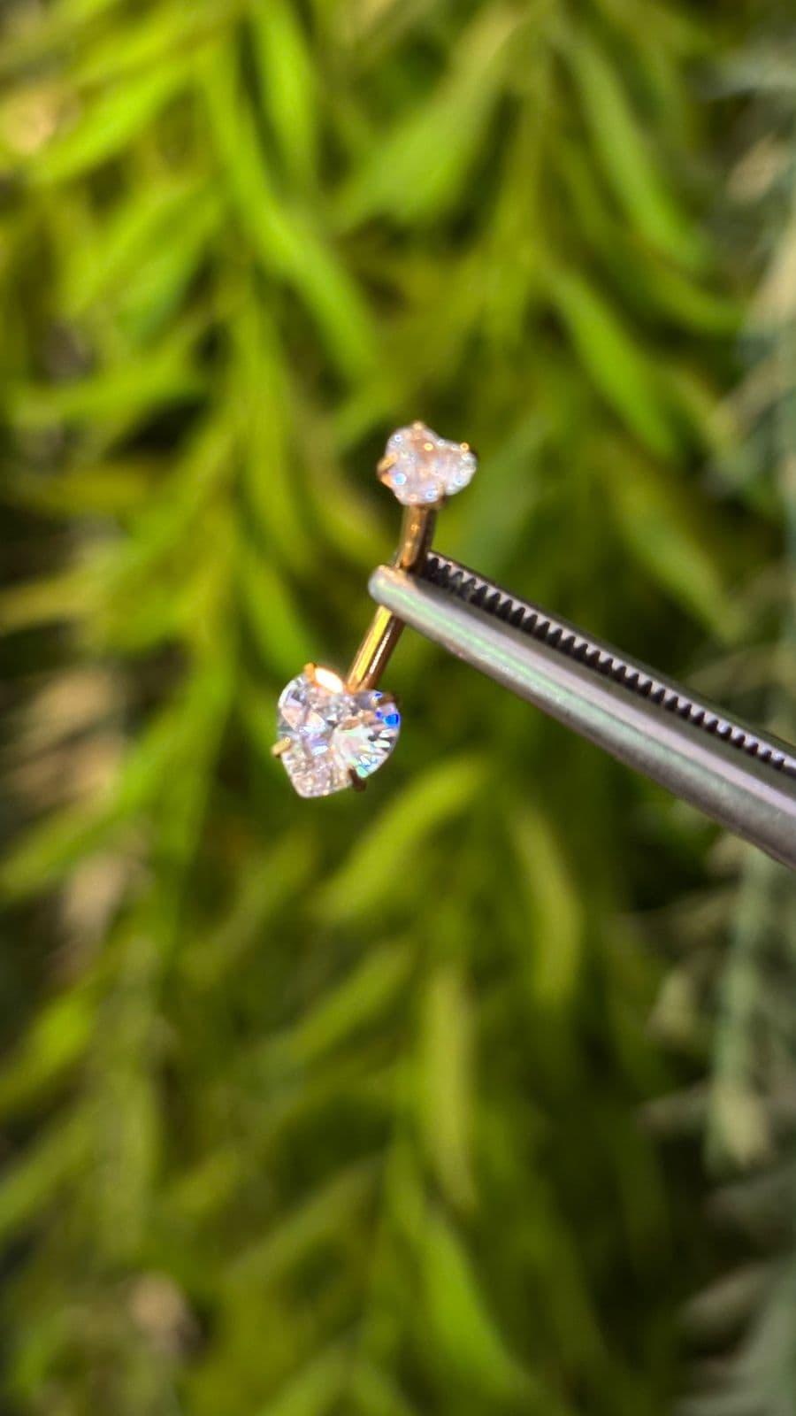 Banana Coração Pvd P