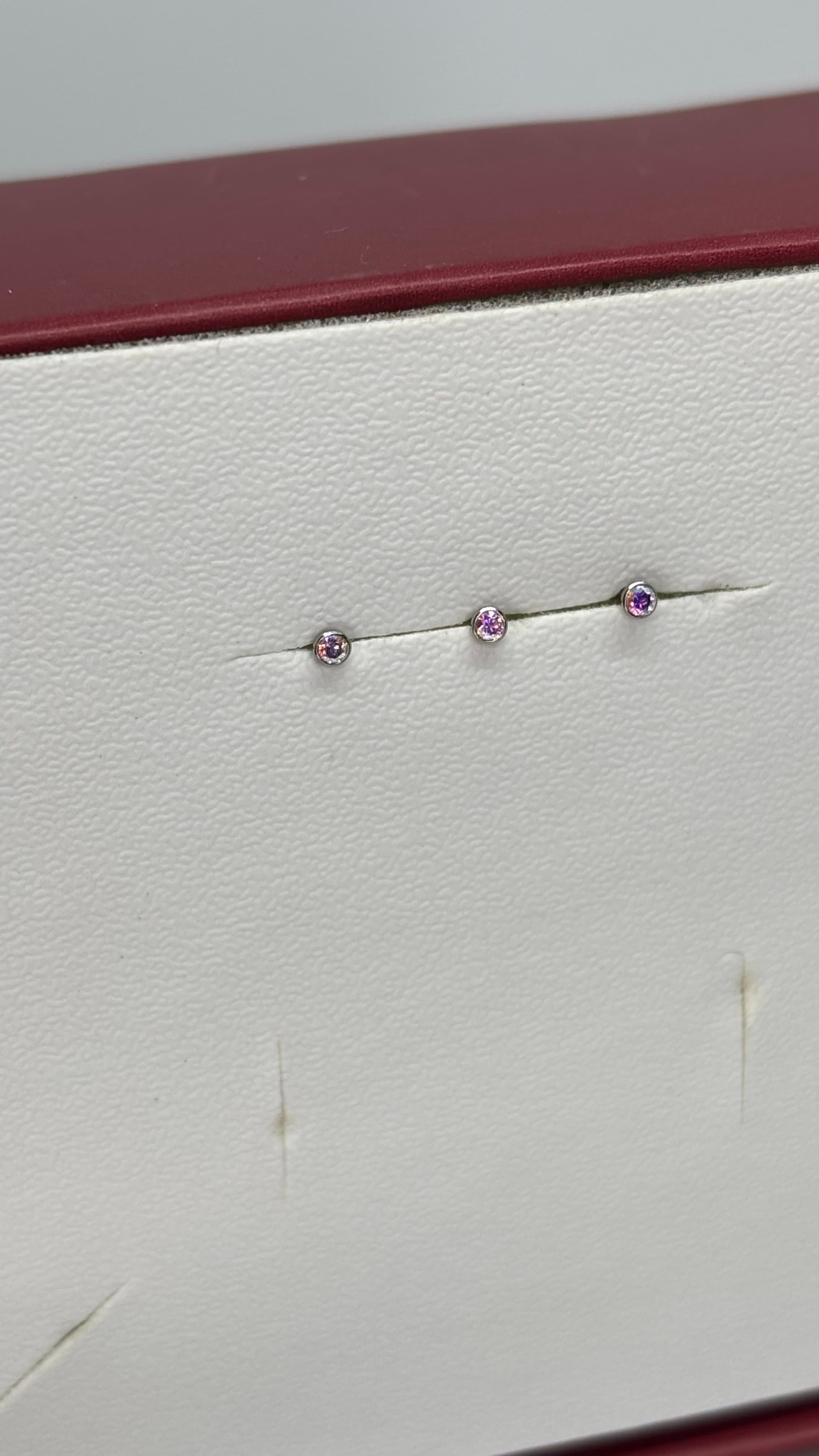 Barbel Australiano Furta Cor